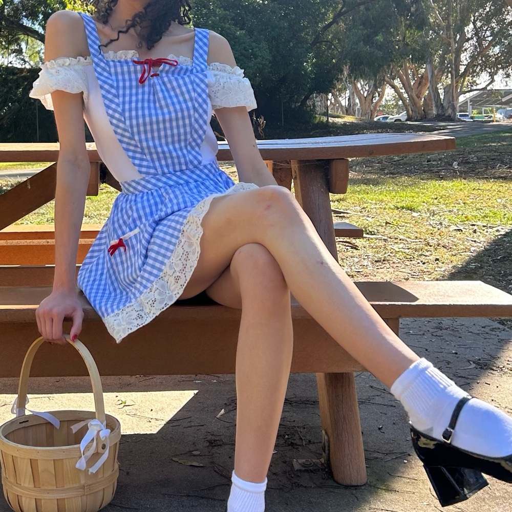 Dorthy Adult Costume